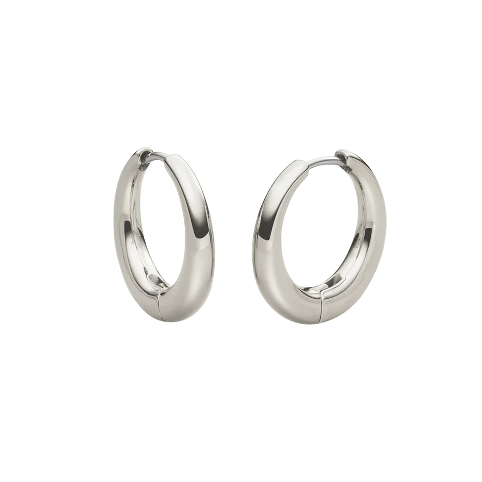 Boccia titanium earrings 6/05100-01 silver earrings