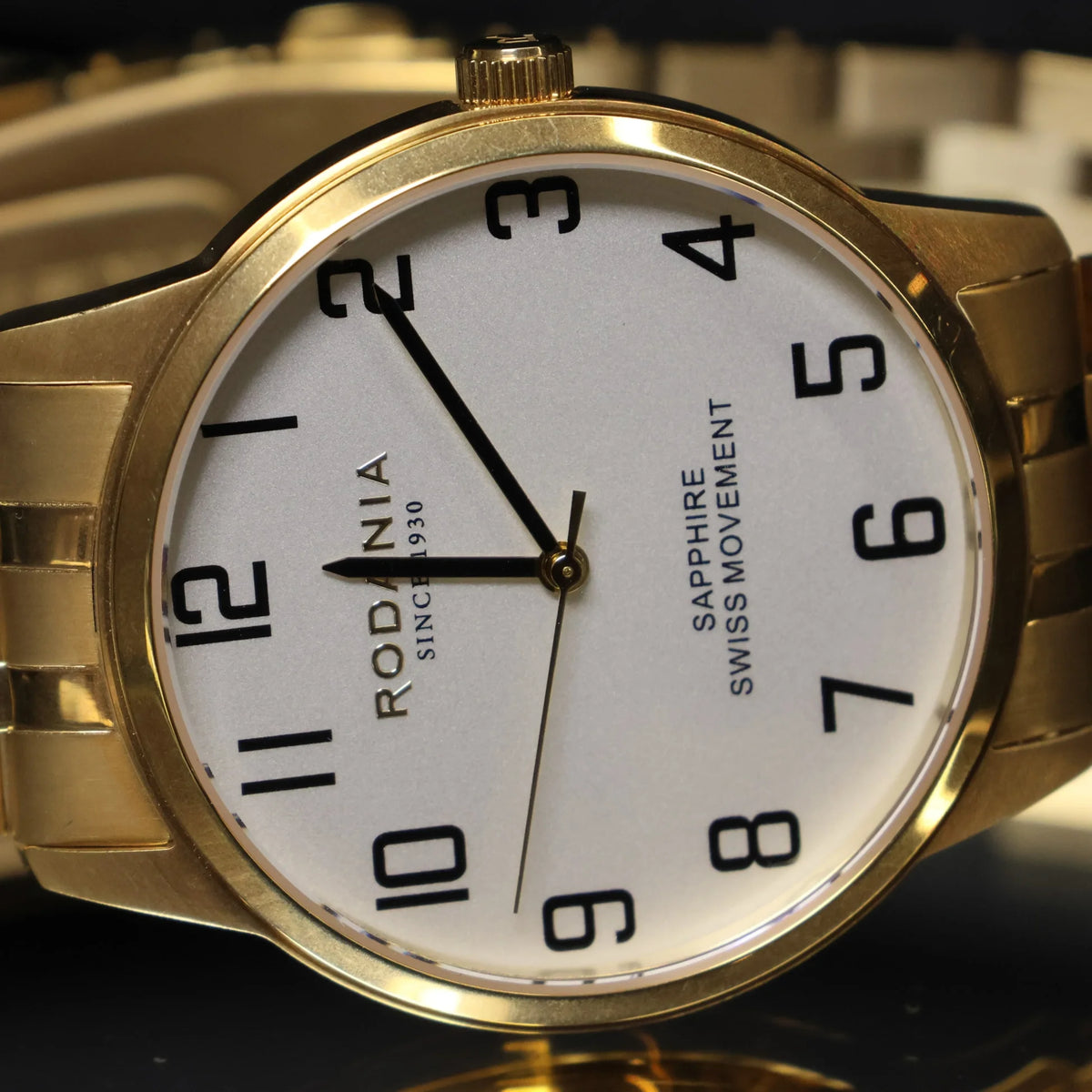 Rodania watch men Nyon sport 40 R22027 gold