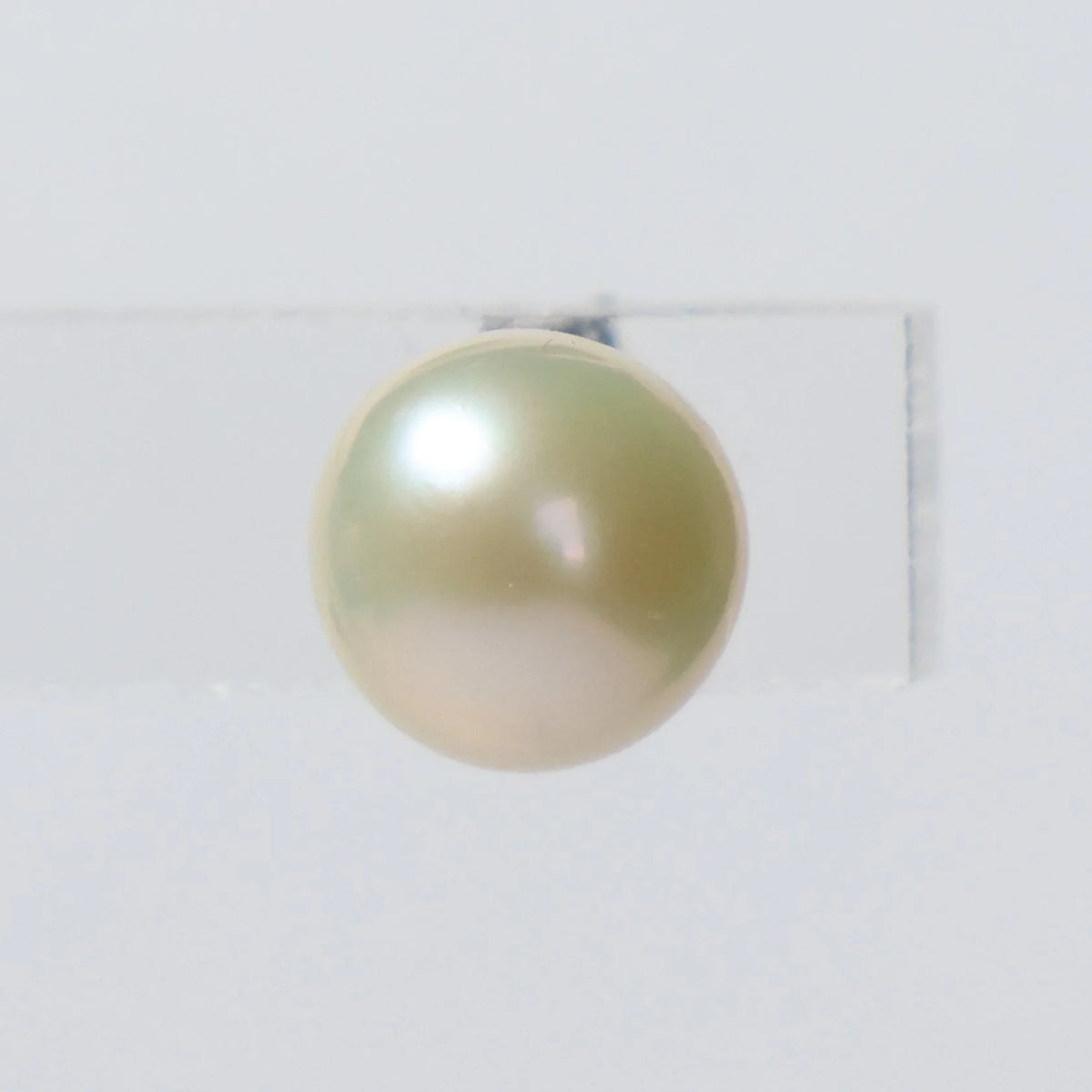 Pearl earrings silver white studs 7mm