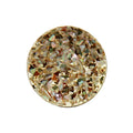 My imenso grande insignia crushed shell 33-1034
